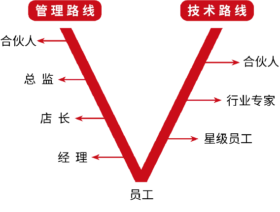 中和豫宴·新豫菜”即將亮相北龍湖，誠聘有夢想的你1121