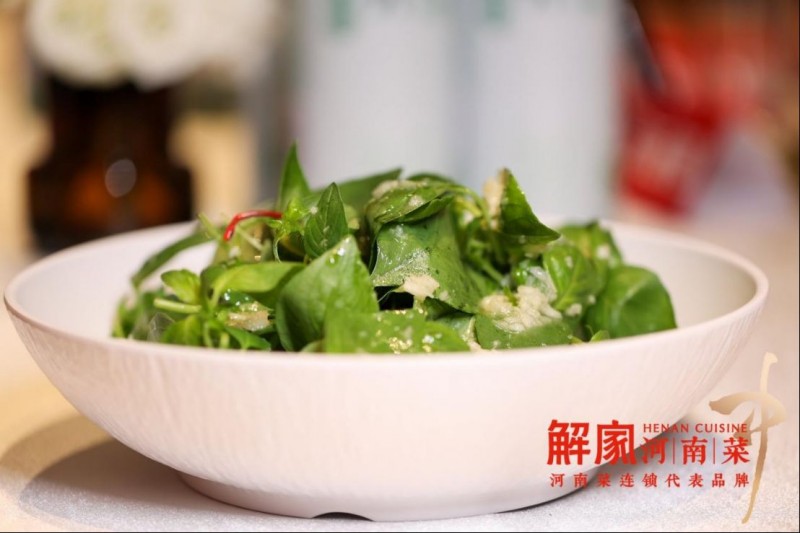 解家河南菜 × 金星啤酒聯(lián)名開新品發(fā)布會1098