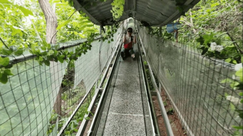 奔赴山野，向幸福出發(fā)！阿五人的度假旅游有多快樂552
